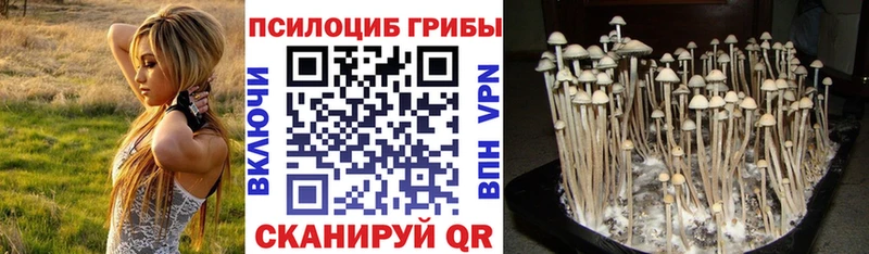 наркошоп  Крымск  Галлюциногенные грибы ЛСД 